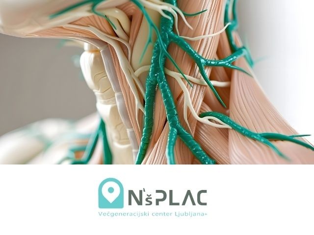 Mala šola limfnega sistema