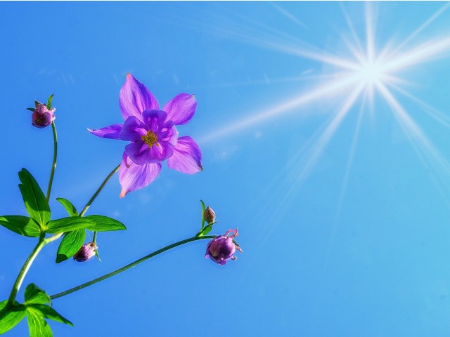 Pomladno prebujanje delavnica