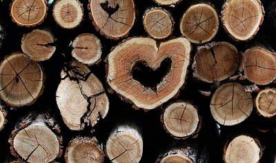 LIFELONGWOOD