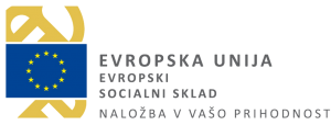 Evropska Unija Socialni skladi