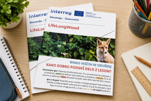 Naslovnica brošure, ki je nastala v okviru projekta LifeLongWood.